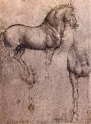 LEONARDO da Vinci Studies of horses oil on canvas
